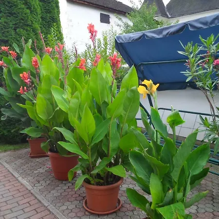 Pri Zamocku Διαμέρισμα Bešeňová